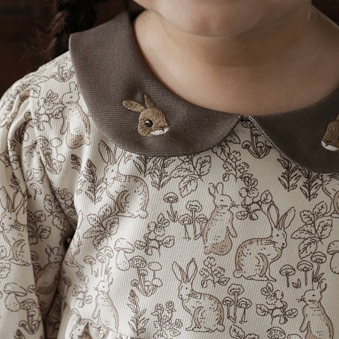 Bunny Rabbit Autumn Dress with Embroidery