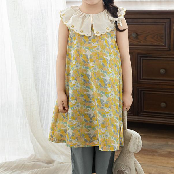 Whimsy Days in Soaring Birds Dress