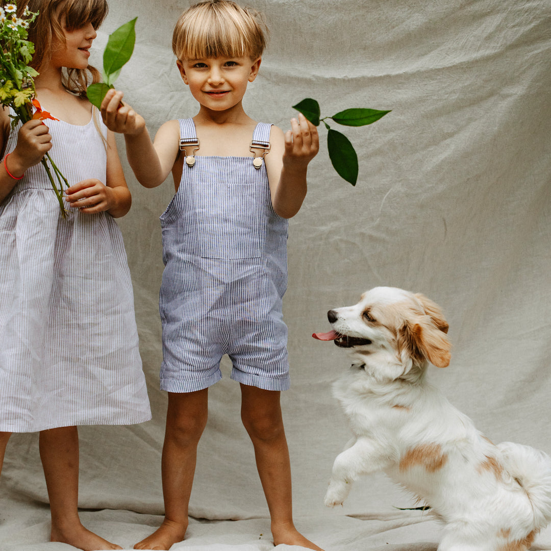 Classic Blue Striped 100% Linen Overalls